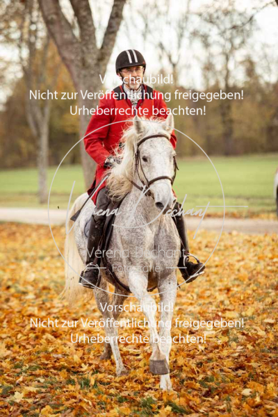 Schleppjagd_Gruenau-700