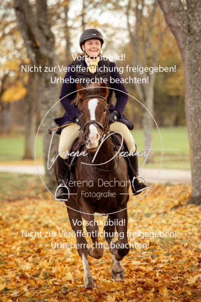 Schleppjagd_Gruenau-704