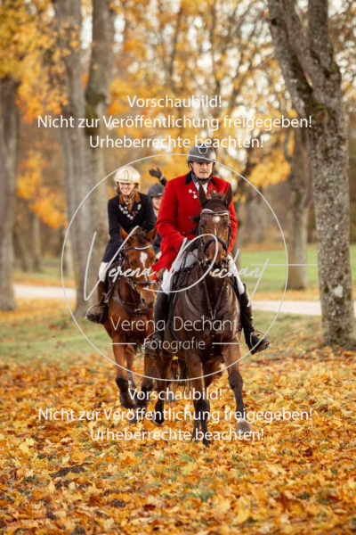 Schleppjagd_Gruenau-707