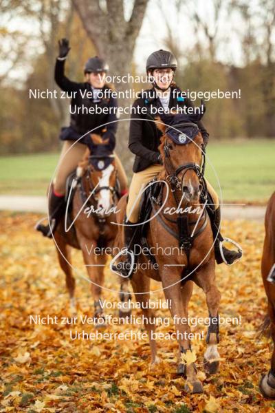 Schleppjagd_Gruenau-712