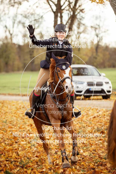 Schleppjagd_Gruenau-714