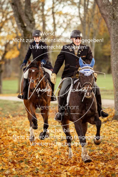 Schleppjagd_Gruenau-718