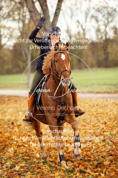 Schleppjagd_Gruenau-726