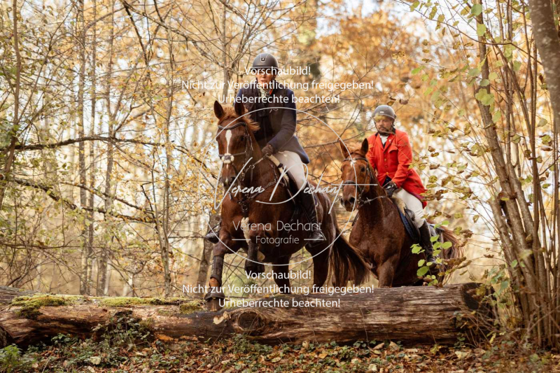 Schleppjagd_Gruenau-729