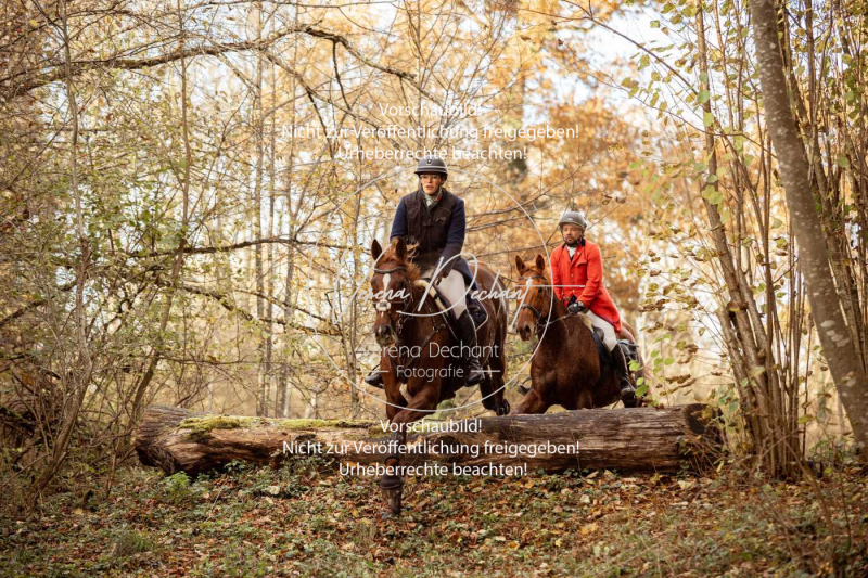 Schleppjagd_Gruenau-730