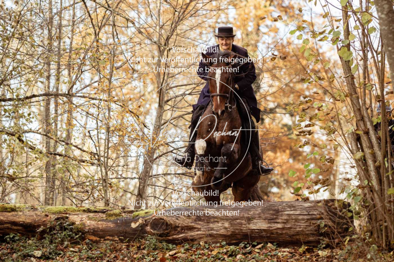 Schleppjagd_Gruenau-751