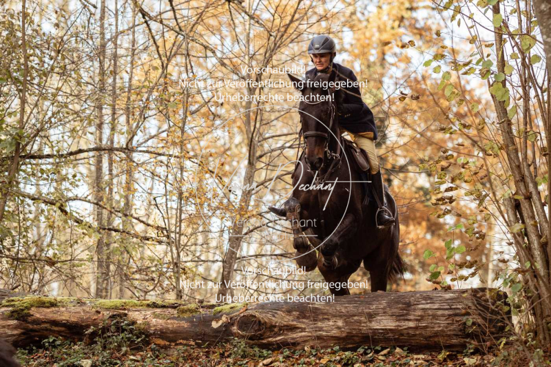 Schleppjagd_Gruenau-753