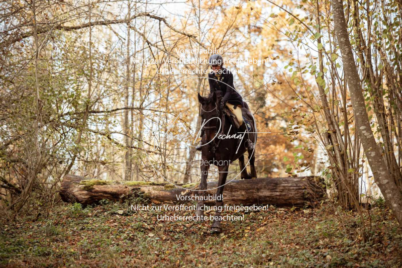 Schleppjagd_Gruenau-755