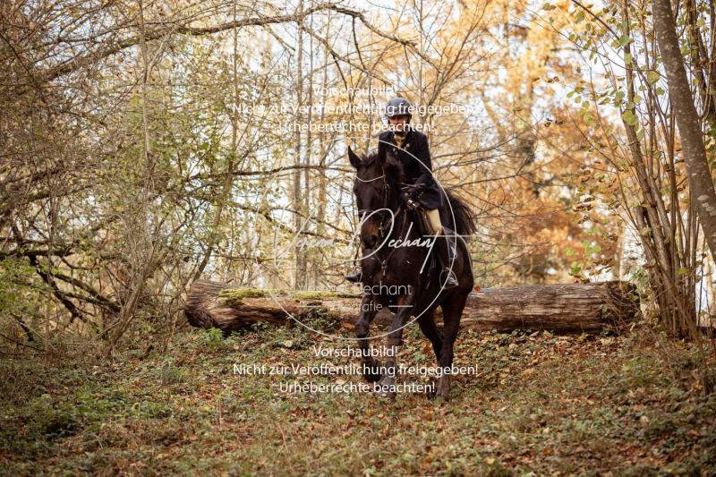 Schleppjagd_Gruenau-758