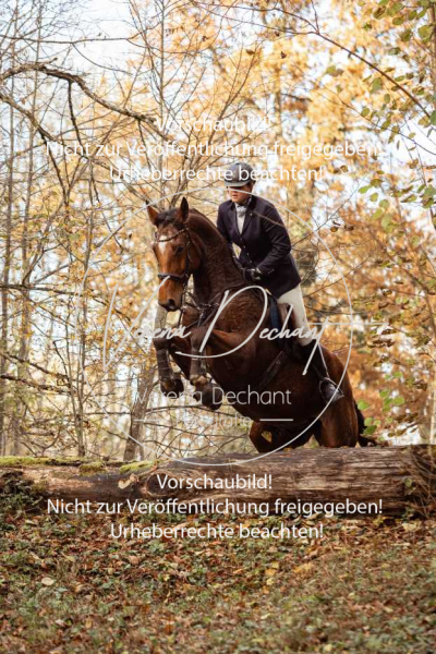 Schleppjagd_Gruenau-765