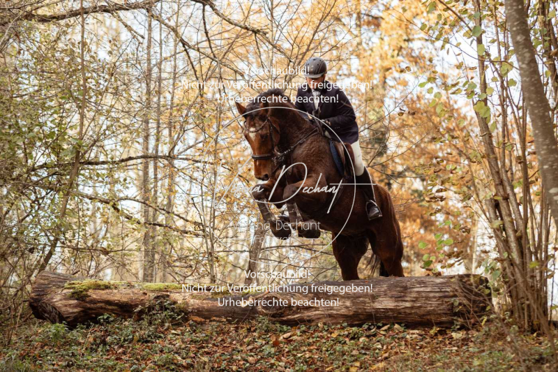 Schleppjagd_Gruenau-766