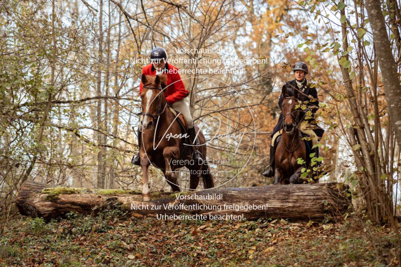 Schleppjagd_Gruenau-768