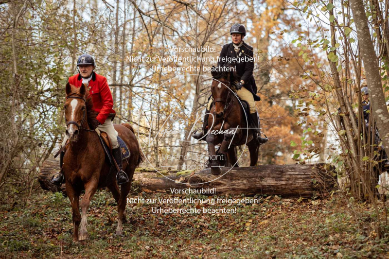 Schleppjagd_Gruenau-770