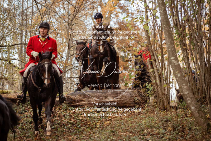 Schleppjagd_Gruenau-778