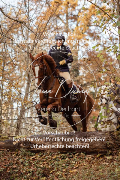 Schleppjagd_Gruenau-786