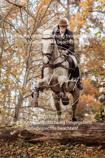 Schleppjagd_Gruenau-790