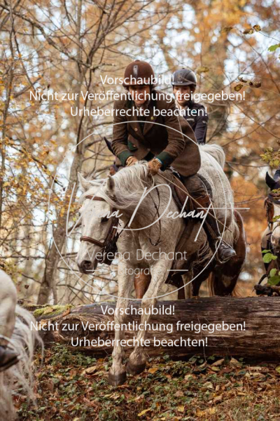 Schleppjagd_Gruenau-792