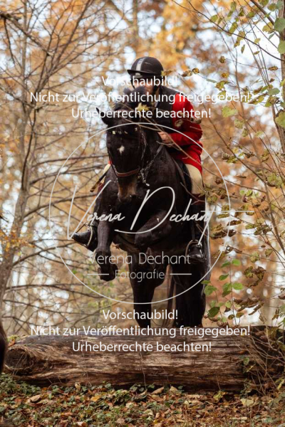 Schleppjagd_Gruenau-799