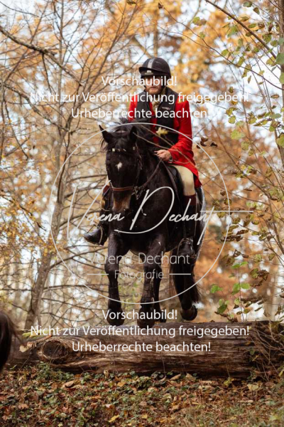 Schleppjagd_Gruenau-800