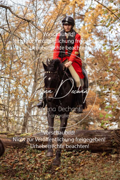 Schleppjagd_Gruenau-801