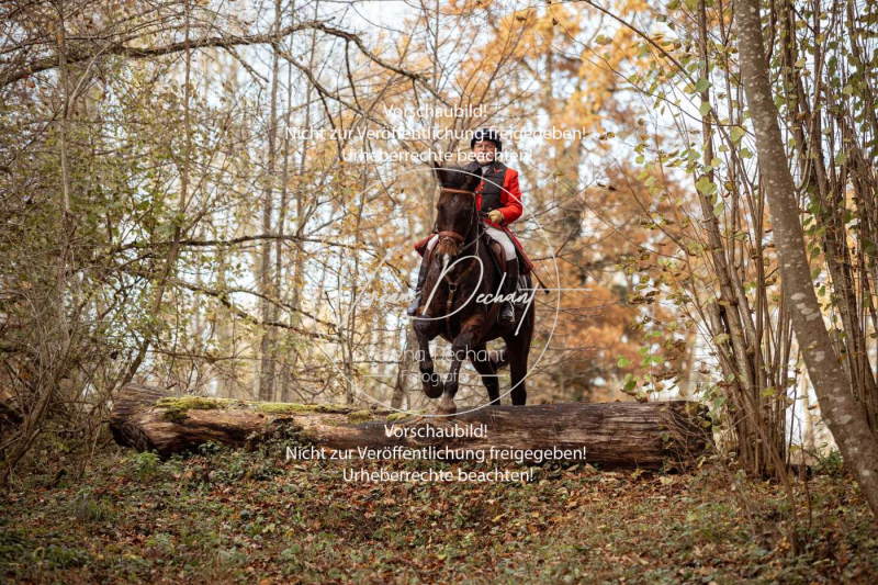 Schleppjagd_Gruenau-804