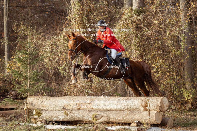 Schleppjagd_Gruenau-814