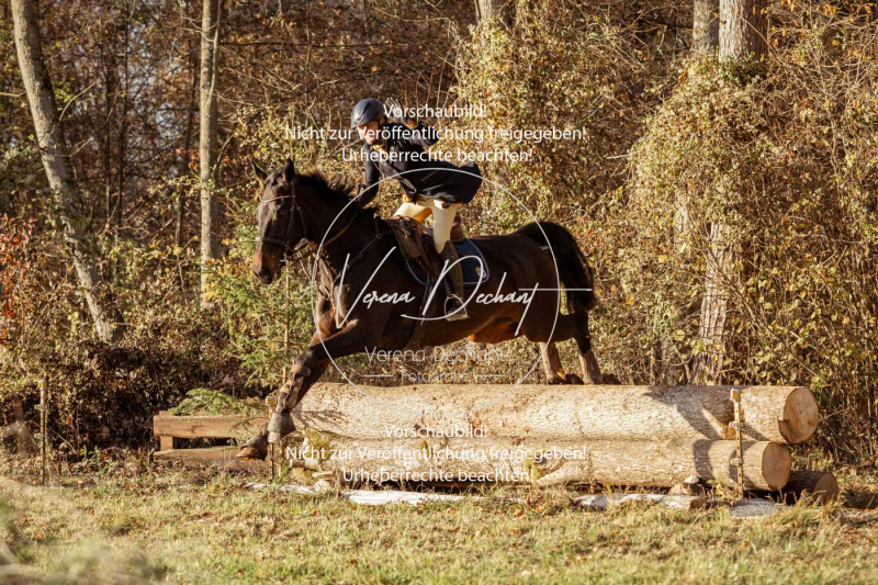 Schleppjagd_Gruenau-829