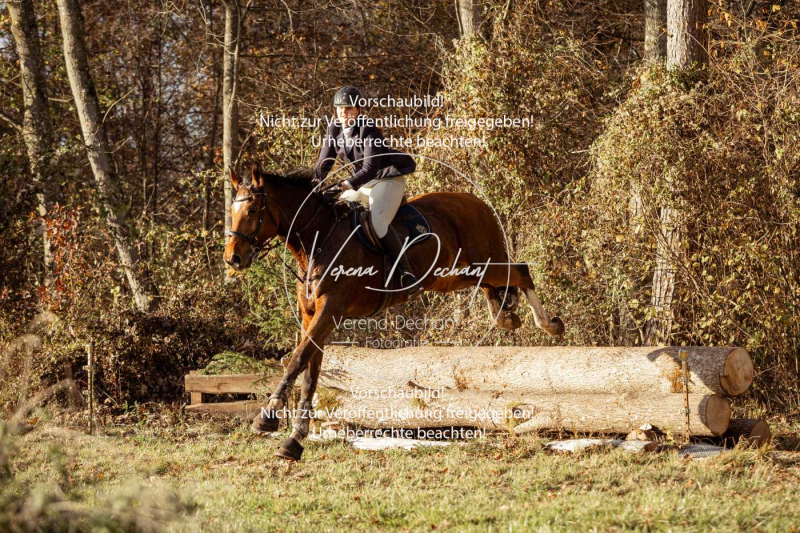 Schleppjagd_Gruenau-832