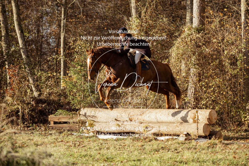 Schleppjagd_Gruenau-834