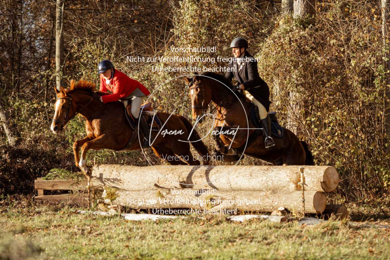 Schleppjagd_Gruenau-838