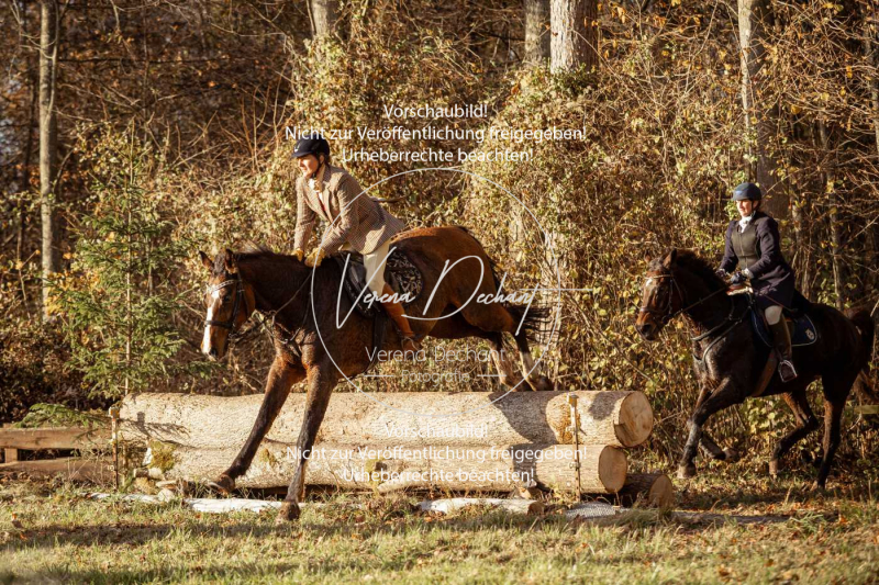 Schleppjagd_Gruenau-850