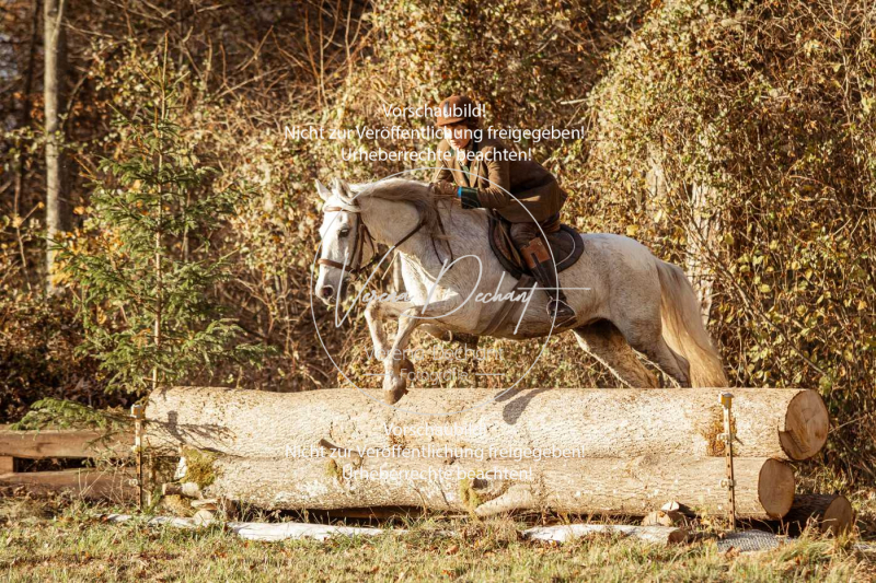 Schleppjagd_Gruenau-860