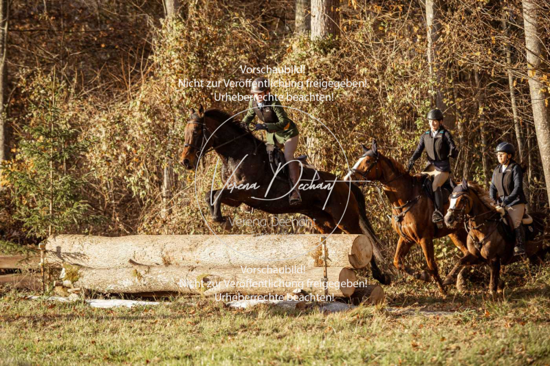 Schleppjagd_Gruenau-862