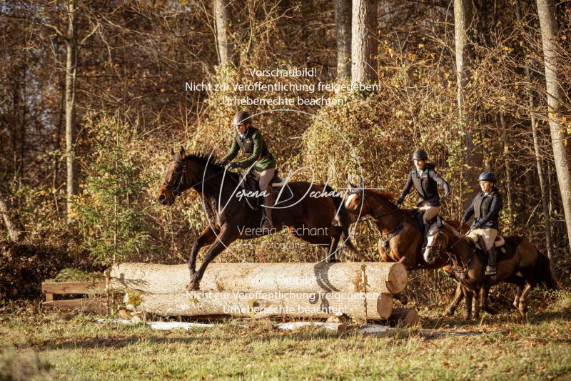 Schleppjagd_Gruenau-863