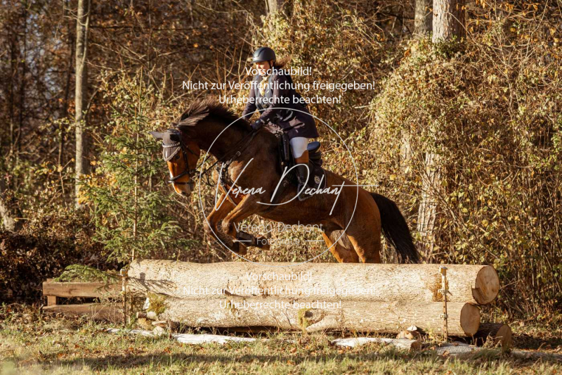 Schleppjagd_Gruenau-876