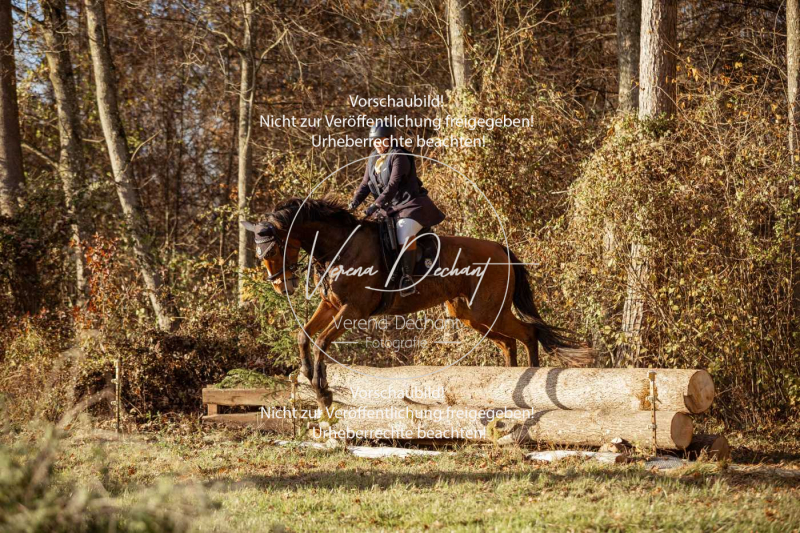 Schleppjagd_Gruenau-877