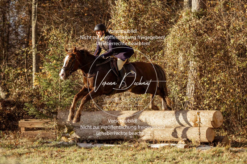 Schleppjagd_Gruenau-880