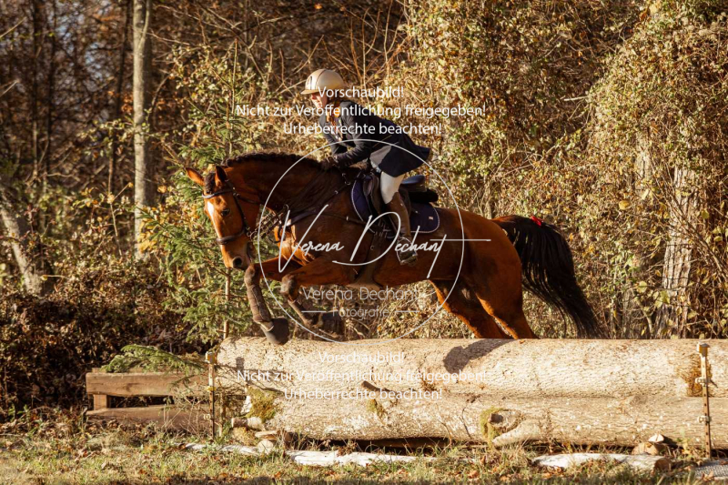 Schleppjagd_Gruenau-891