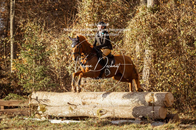 Schleppjagd_Gruenau-893