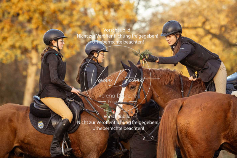 Schleppjagd_Gruenau-923