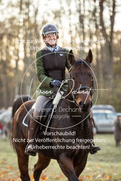 Schleppjagd_Gruenau-940