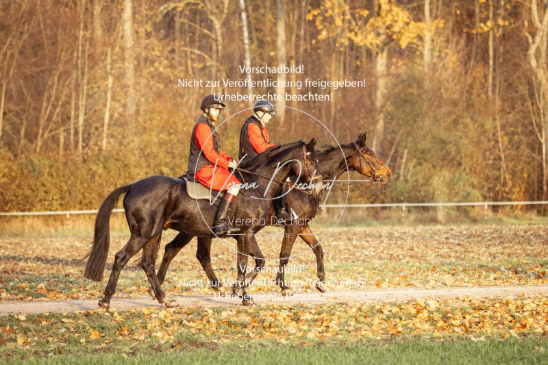 Schleppjagd_Gruenau-941