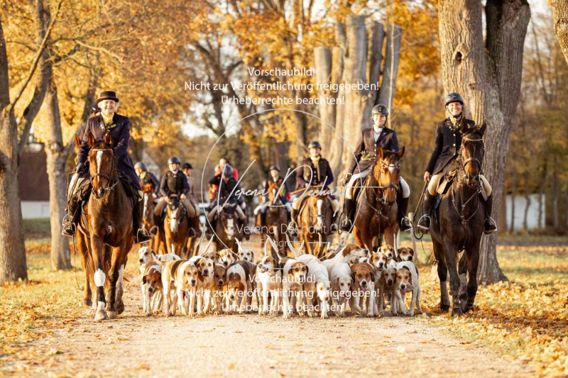 Schleppjagd_Gruenau-942