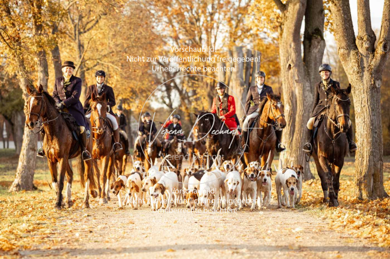 Schleppjagd_Gruenau-945