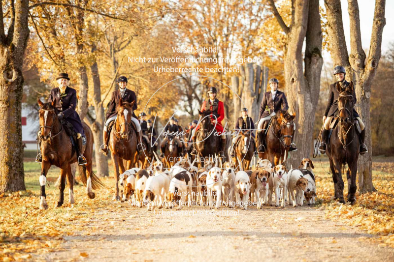 Schleppjagd_Gruenau-947