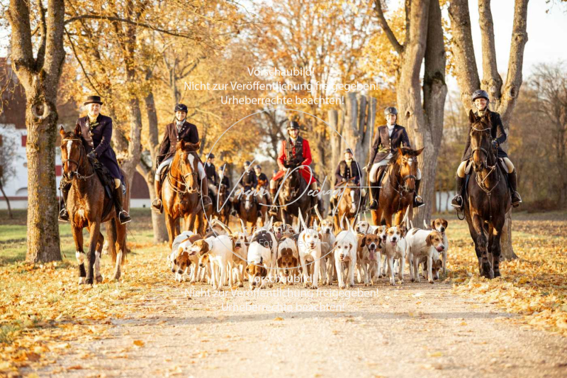 Schleppjagd_Gruenau-948