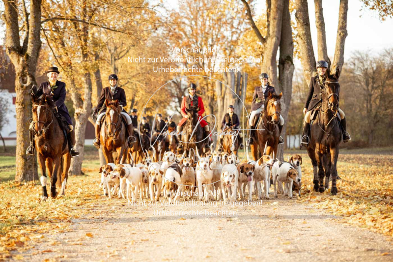 Schleppjagd_Gruenau-949