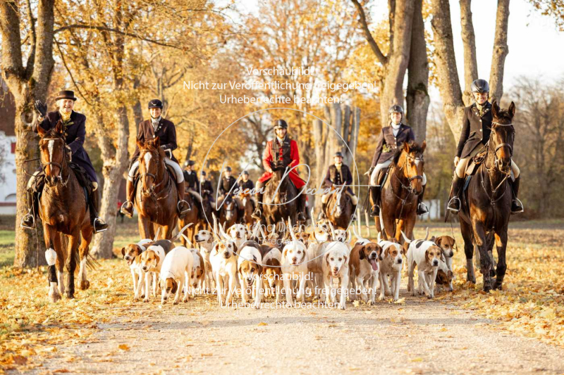 Schleppjagd_Gruenau-950