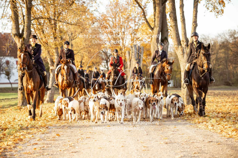 Schleppjagd_Gruenau-951