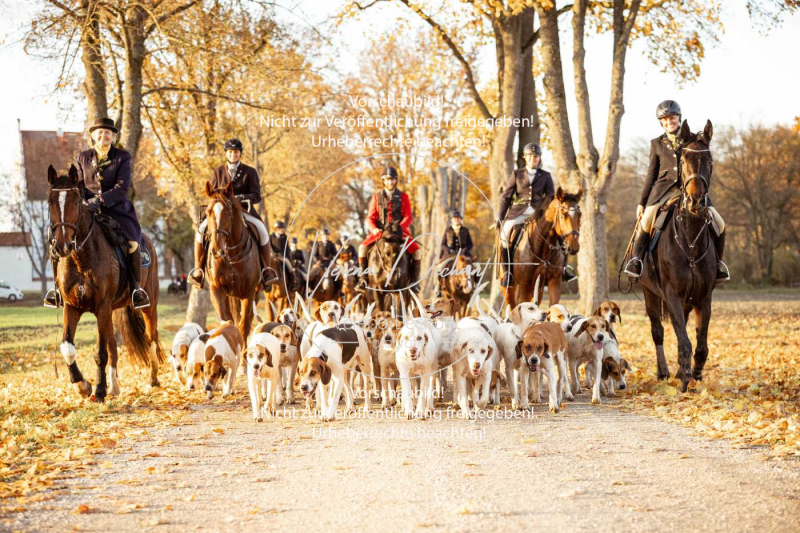 Schleppjagd_Gruenau-953